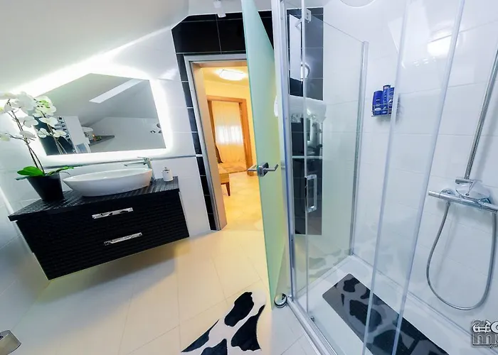 Alexandar 15 Backi Petrovac