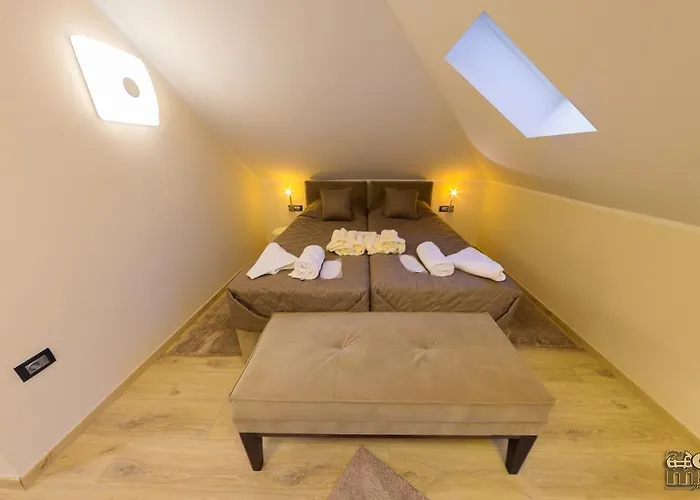 Alexandar 15 Vilă Backi Petrovac