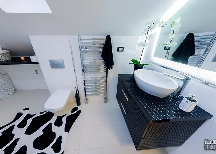 Alexandar 15 Vilă Backi Petrovac