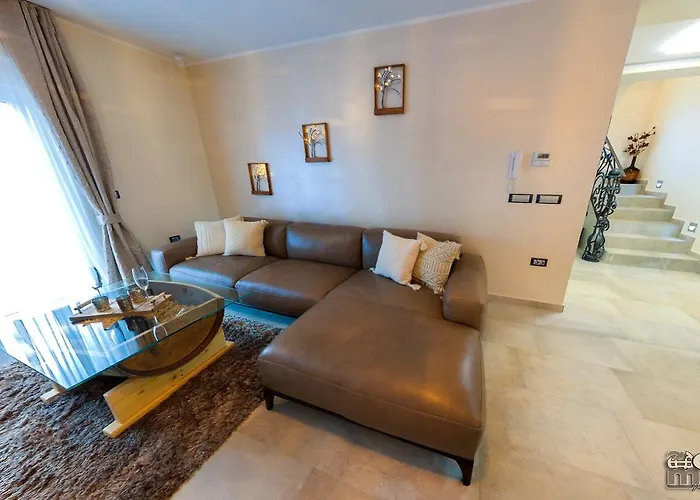 Vilă Alexandar 15 Backi Petrovac